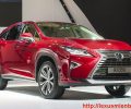 Lexus-RX-350-chinh-hang