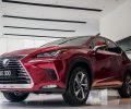 gia-xe-lexus-nx-oto-com-vn-18-afce